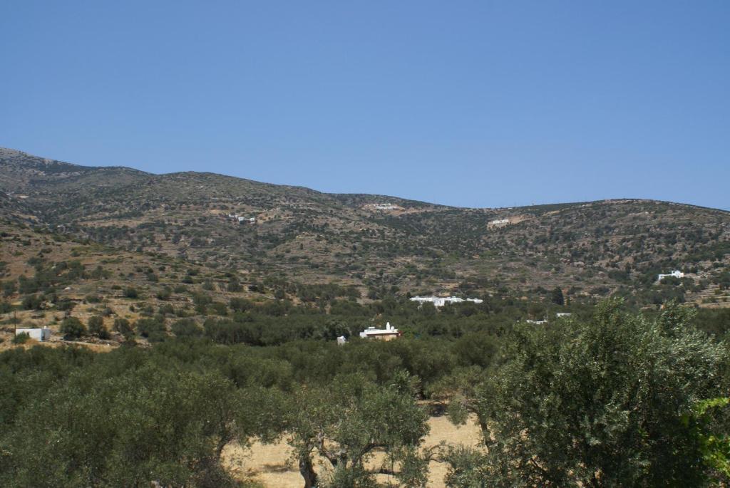 Villa Antoniadis Platis Gialos  Εξωτερικό φωτογραφία